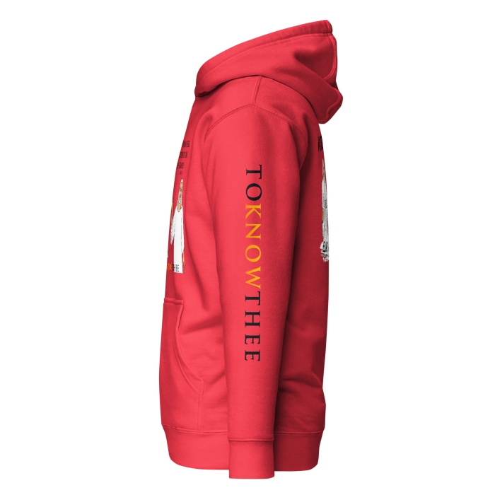Lord Suddenly Come to His Temple- Unisex Hoodie - Image 11
