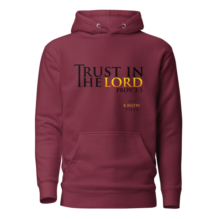 Trust in the Lord Hoodie - Image 2
